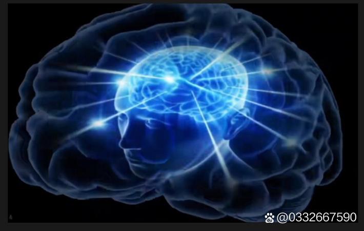 吃瓜:某影视颁奖礼后台,两位女星因座位安排大打出手 - 吃瓜吧 吃瓜:某影视颁奖礼后台,两位女星因座位安排大打出手
